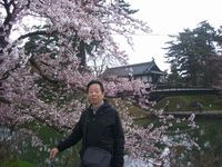 吉良 健裕さん 写真：弘前城の桜