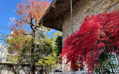 平生記念館の紅葉