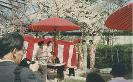 桜祭り2